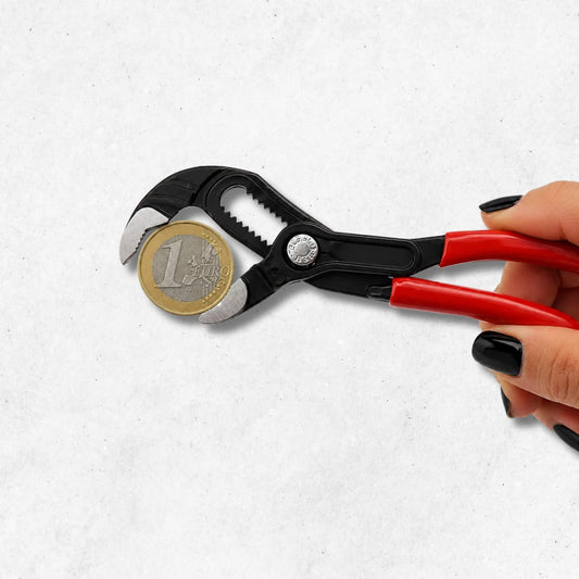 petite pince multiprise avec 1 euro entre les dents